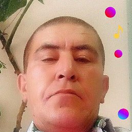 ��������, �����-���������, 54 ����