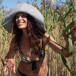 ������, ���������, 61 ���