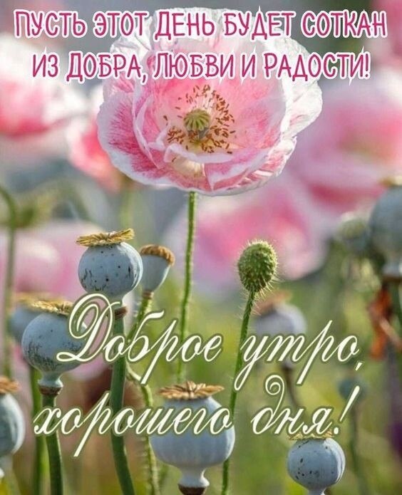 18 ... ...  !   ....  ...)    , ...