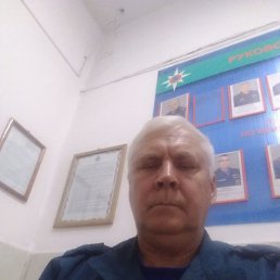 �����, ������, 65 ���