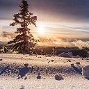 ���� �����, ������ ��������, 72 ���� - ��������� 3 ����� 2023