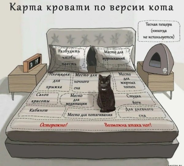 " ") - 28  2023  11:43