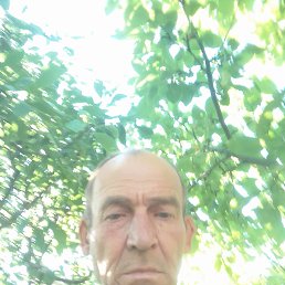 ���� �������, ������, 51 ��� - ��������� 28 ���� 2023