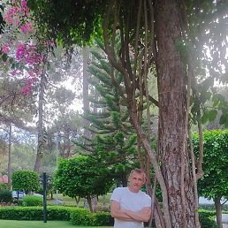 �������, �������, 48 ���