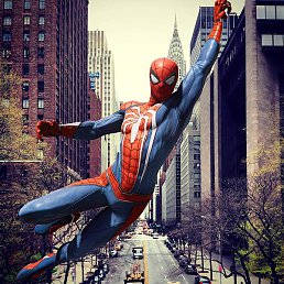 ����, �����-���������, 37 ���