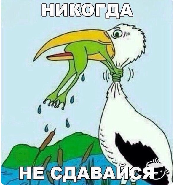  - 20  2023  11:01