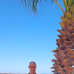 ���, ������, 49 ���