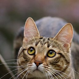 ���� �������, ������, 29 ��� - ��������� 9 �������� 2023