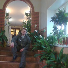 �������, ������, 53 ����