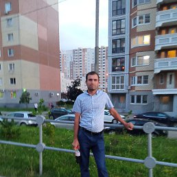 �����, ������, 41 ���