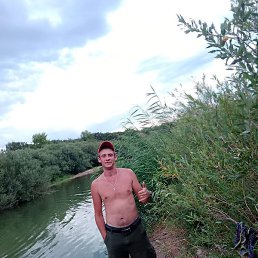 ����, ������, 37 ���