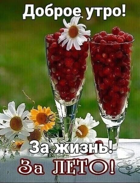 ***Victoria Viktorovna*** - 22  2023  09:06