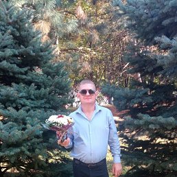 ���� ����, ������, 42 ���� - ��������� 22 ����� 2023