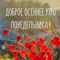 �������, ������, 47 ���