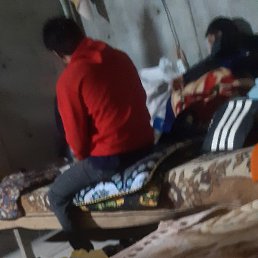 �����, �������, 49 ���