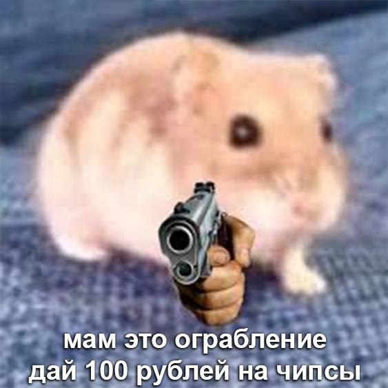    - 23  2023  01:29