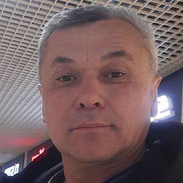 ����, ������, 49 ���