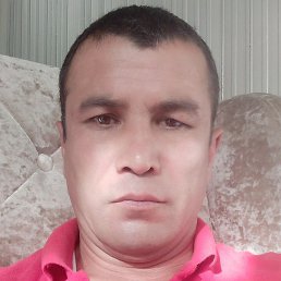 �����, �������, 46 ���