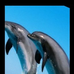 ���� ������, ������, 47 ��� - ��������� 1 ����� 2023