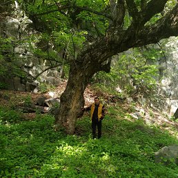 ���� Arman, ������, 42 ���� - ��������� 4 ������� 2023