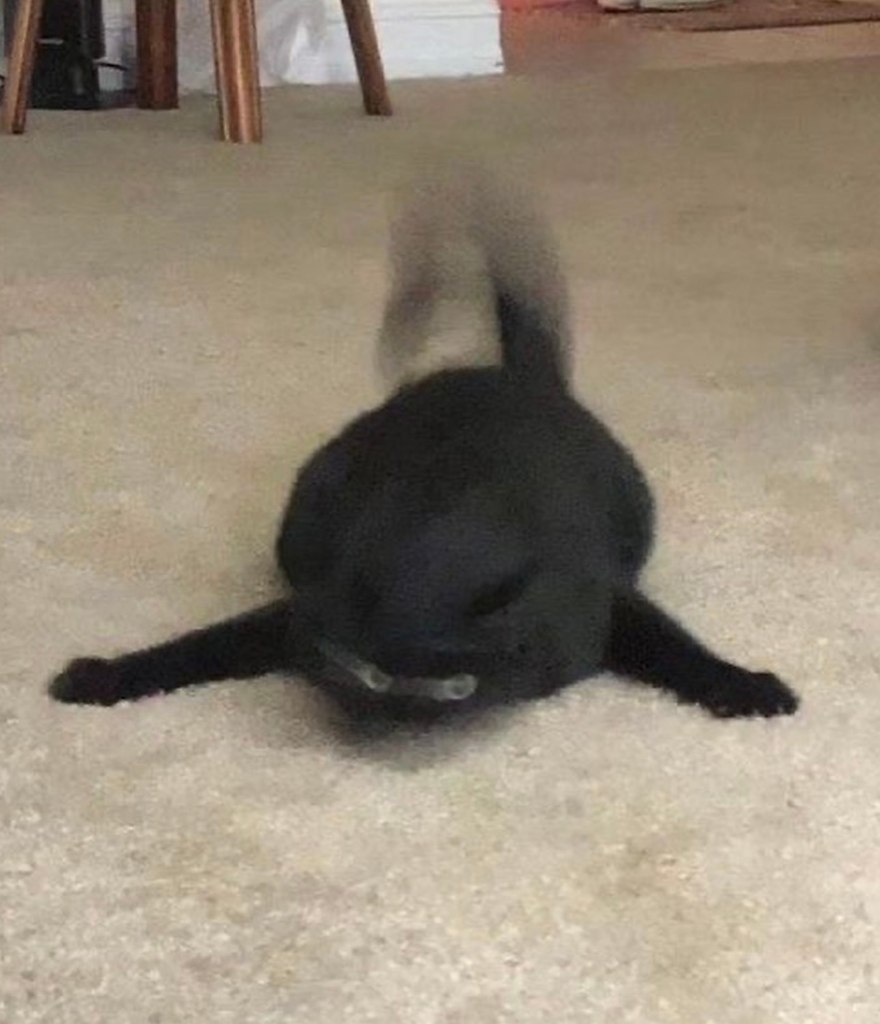  ,    ,    - 3