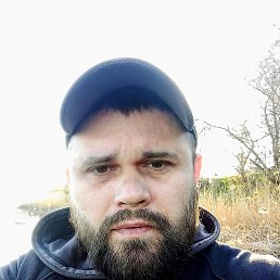 ���� �����, �����������, 41 ��� - ��������� 7 ���� 2023