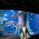 ���������� ������������ �� ������� ���� �����������