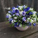 ���� �����, ������������, 58 ��� - ��������� 15 ���� 2023