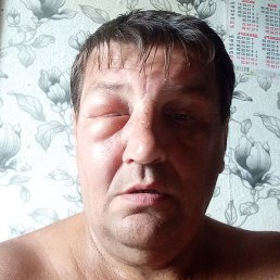 �������, ������, 54 ����