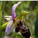 ���� �����, ���������, 58 ��� - ��������� 16 ��� 2023 � ������ ���� ����������