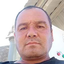 ������, ������, 46 ���