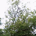 ���� ����, ������, 50 ��� - ��������� 21 ���� 2023 � ������ ���� ����������