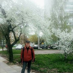 �����, �����, 45 ���