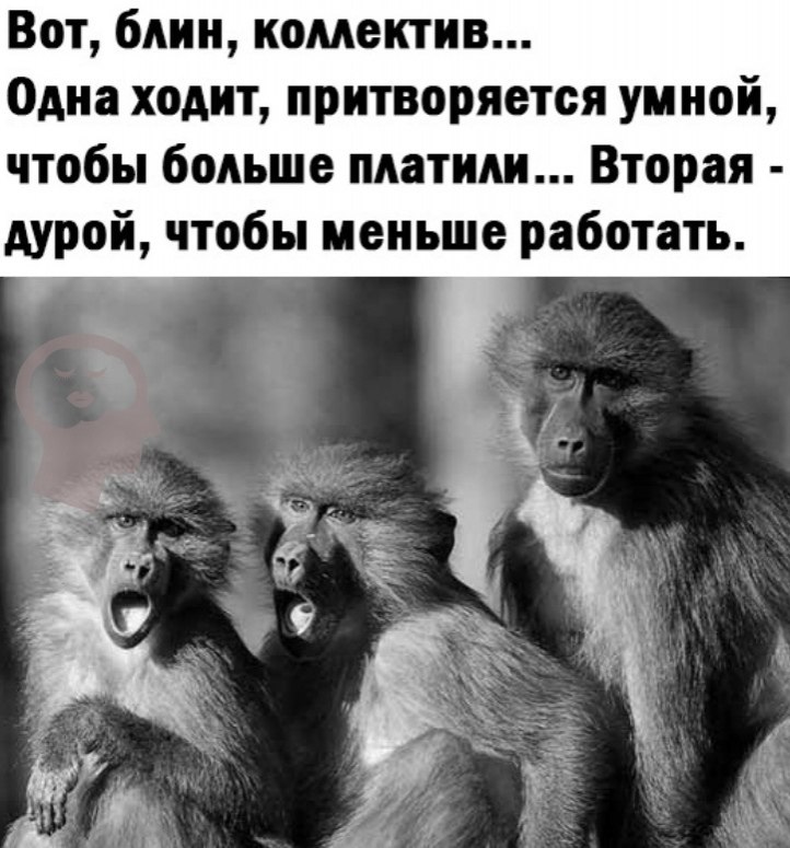  - 10  2023  23:17