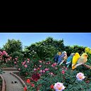 ���� �����, ������, 30 ��� - ��������� 10 ������� 2023