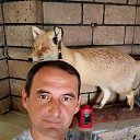 ���� ����, ���������, 42 ���� - ��������� 4 ������� 2023 � ������ ���� ����������