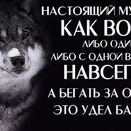 ��������, ������