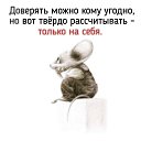 ���� �����, �������, 62 ���� - ��������� 6 ����� 2023 � ������ ���� ����������