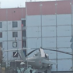 ���������, �����, 36 ���