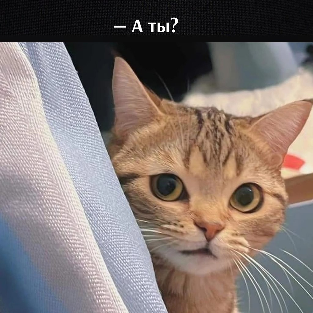       - 11  2023  17:07 - 3
