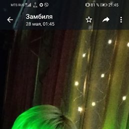 ���� �����, �������������, 37 ��� - ��������� 27 ���� 2023