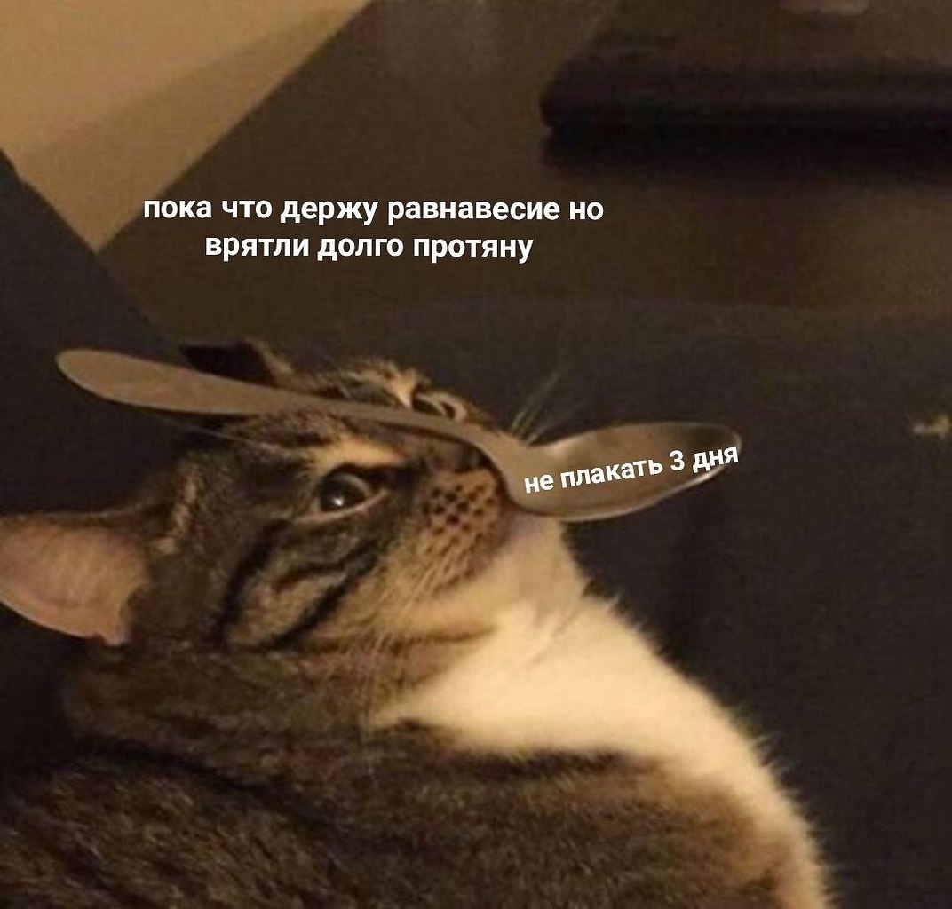    - 10  2023  06:19