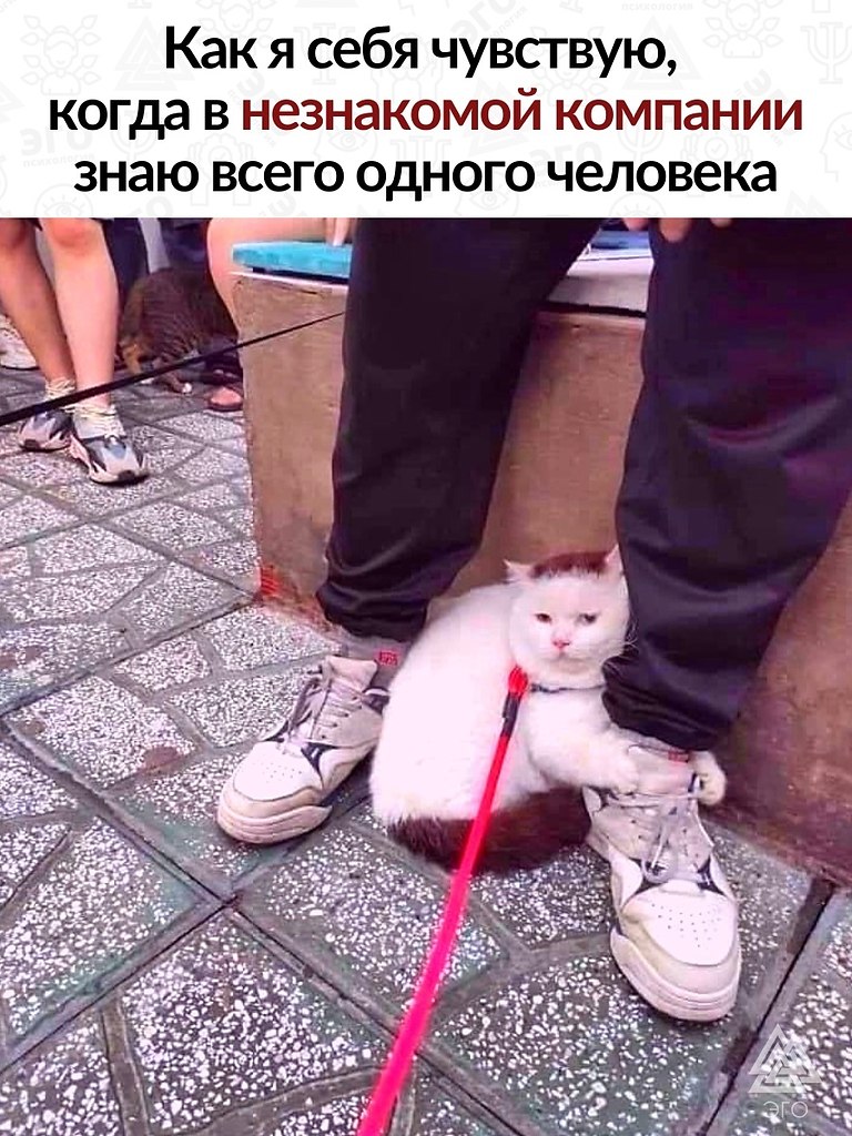     ,             ...