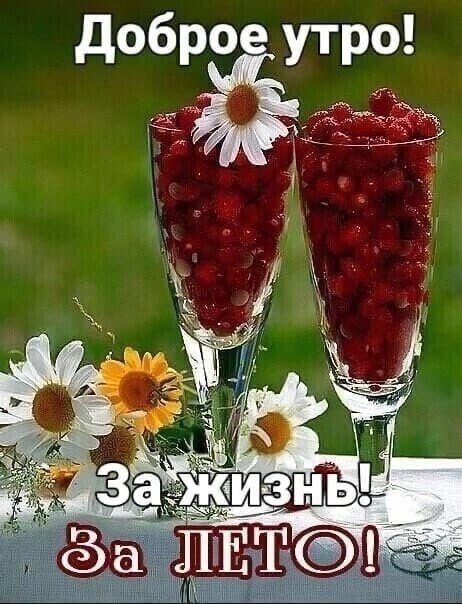 ***Victoria Viktorovna*** - 22  2023  09:06