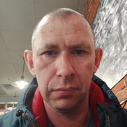 �����, ������, 41 ���