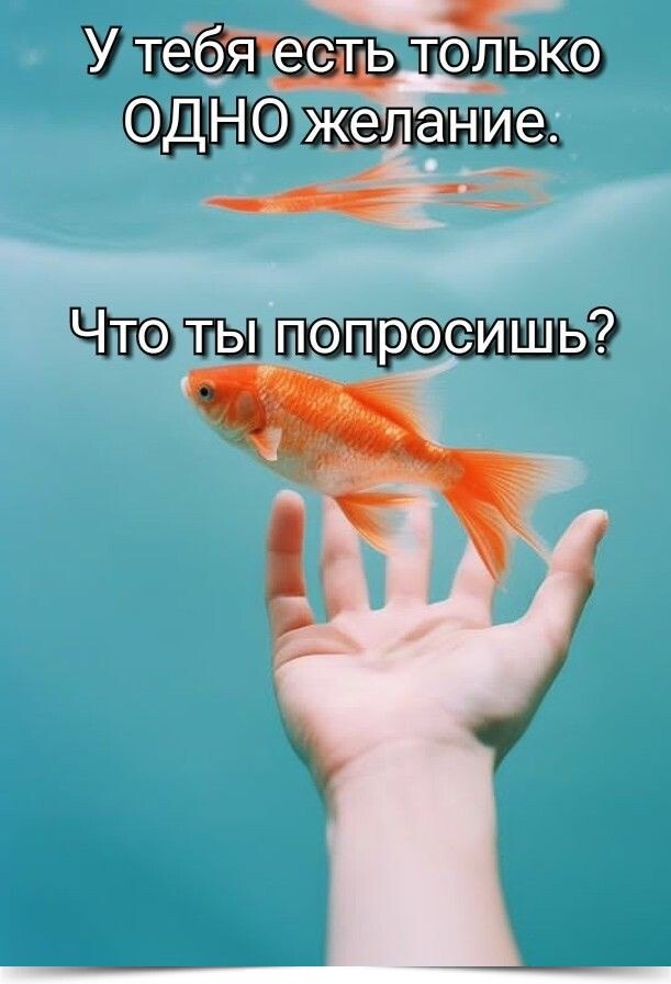 *** * *** * *** * *** * ***