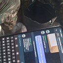 ���� ����, ������, 30 ��� - ��������� 3 ������� 2023