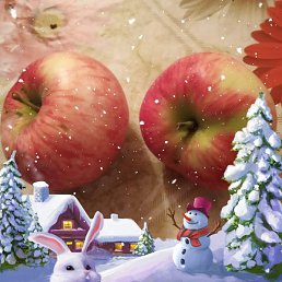 �����, �����, 62 ����