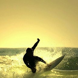 �����, ���������, 50 ���