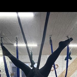 ���� �������, �������, 54 ���� - ��������� 12 ���� 2023